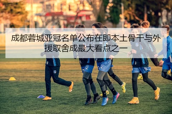 成都蓉城亚冠名单公布在即本土骨干与外援取舍成最大看点之一